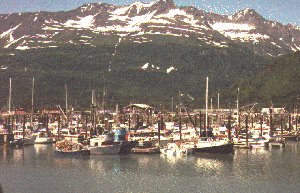 The Valdez small boat harbor