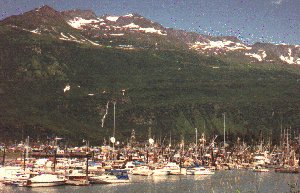 The Chugach Mountain surround the Valdez Harbor