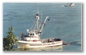 open03.jpg