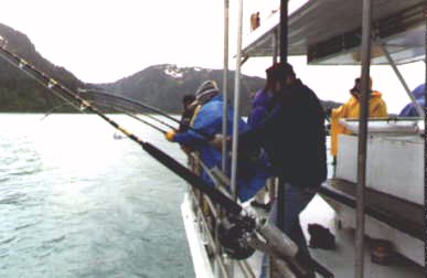 Halibut fishing in Valdez, AK