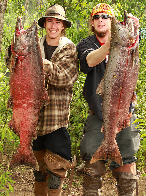 Salmon fishing prince william sound