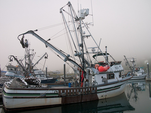 fishing boat in Cordova, Prince William Sound