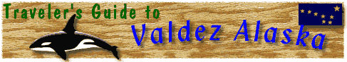 Vbanner2