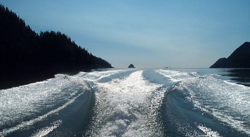 Glacier cruise1