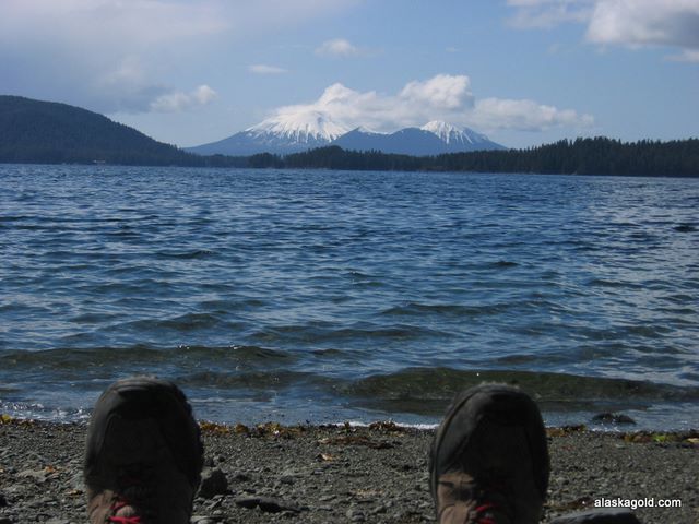 Sitka seashore