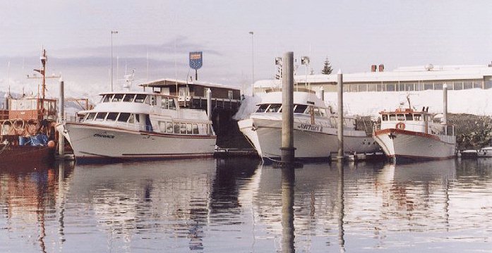 Glacier cruise boats in Valdez harbor