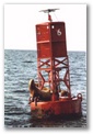 bouy6.jpg