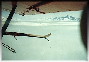 bagleyicefield picture