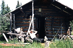 sprucept picture