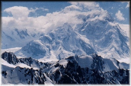 stelias picture
